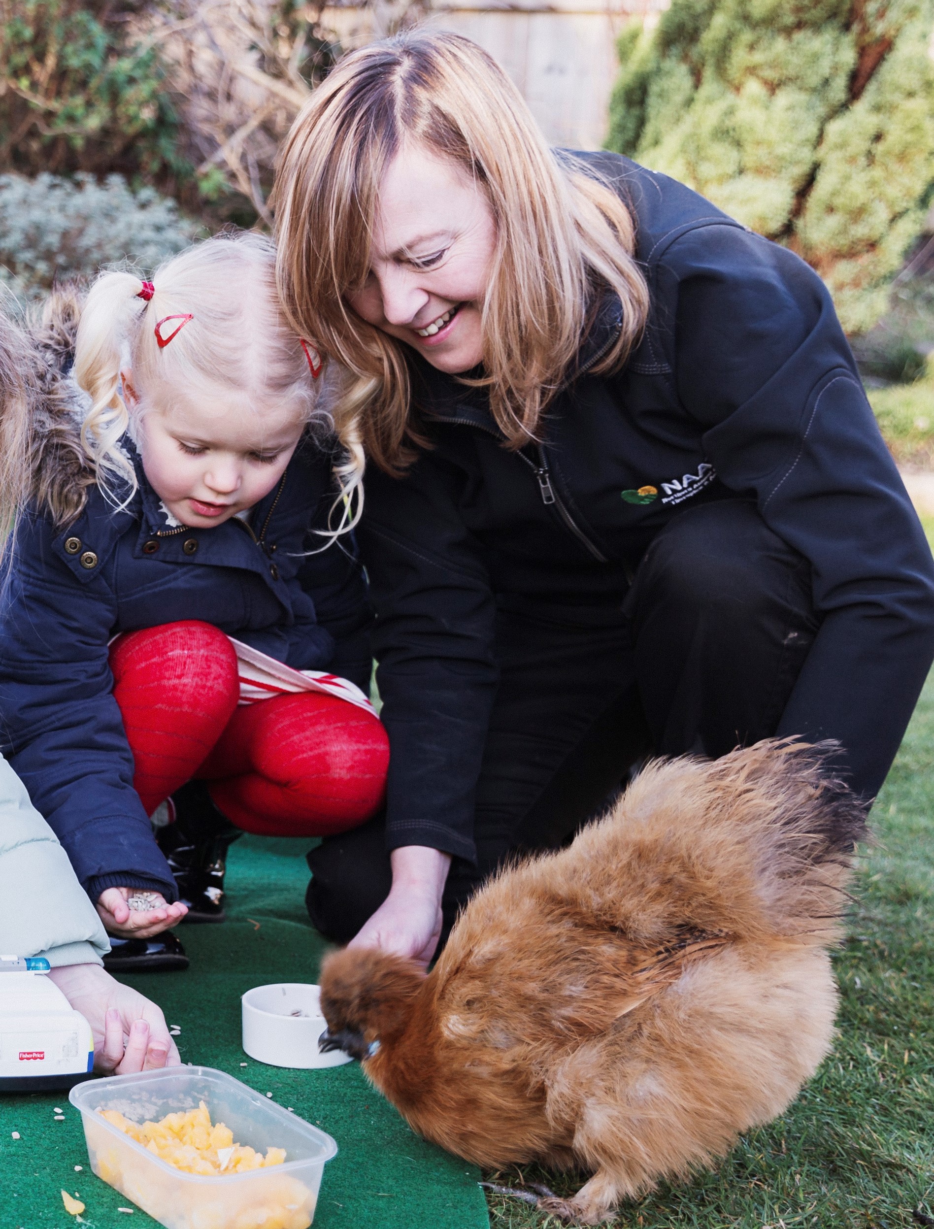 Initial Consultation Animal Assisted Activities Naata